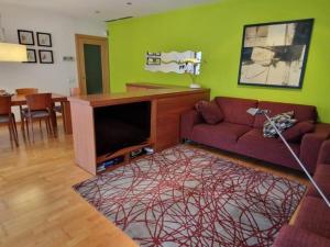 萨瓦德尔Homing Sabadell 73的带沙发和绿色墙壁的客厅