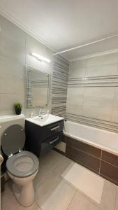 布加勒斯特ABarbici Apartments的浴室配有卫生间、盥洗盆和浴缸。