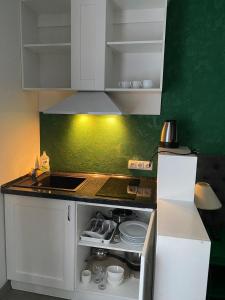 伊万诺-弗兰科夫斯克芬特什精品酒店的厨房配有白色橱柜和绿色墙壁