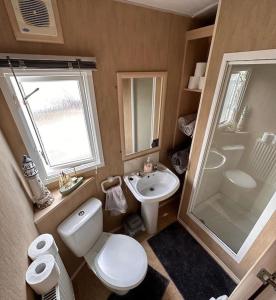 阿丁斯顿4-Bedroom Cosalt Parkhome in Uddingston, Glasgow的浴室配有卫生间、盥洗盆和淋浴。