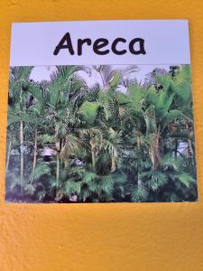 阿布拉奥Recanto das Flores Lofts - Ilha Grande Rj的一本书,上面有棕榈树的照片