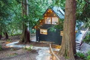 贝灵厄姆Bellingham A-Frame - Hot tub & Firepit的树林里的一个黑色小小屋