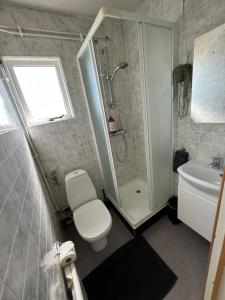 霍尔斯沃德吕尔Summer house - Fíflholt的浴室配有卫生间、淋浴和盥洗盆。