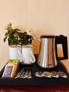 布里恩茨Hotel Wildbach Brienz的茶壶和盆栽的托盘