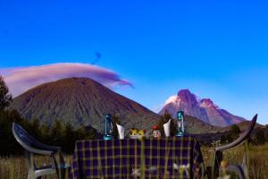 NyaruginaUnder Volcanoes View Guest House的山地野餐桌