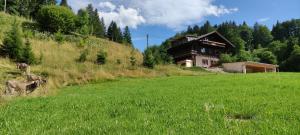 上施陶芬Ferienhaus am Berg的山边的绿色田野房子