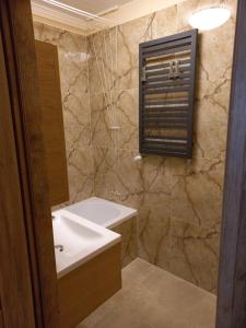 比得哥什Apartament 7 Piętro的浴室配有盥洗盆和浴缸。