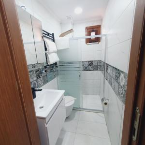 伊斯坦布尔Denis suit apart的浴室配有卫生间、盥洗盆和淋浴。