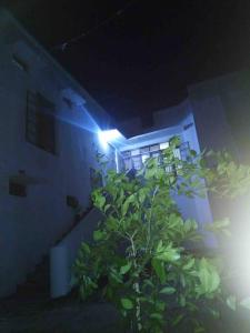 Mbalethe APARTMENT house的夜间在建筑物前的植物