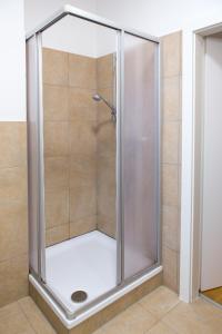 格拉茨Cozy City Apartment的浴室里设有玻璃门淋浴