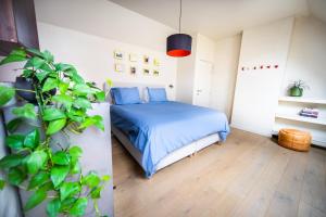 根特Casa Mina - Dok Noord Ghent的一间卧室配有蓝色的床和盆栽植物