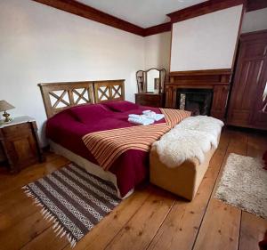 Monte DineroEstancia Monte Dinero的一间卧室配有一张床和一个壁炉,铺有木地板