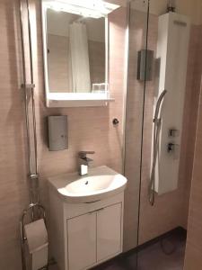 赫尔辛堡Lilla Drottninggatan Apartment Hotel的浴室配有盥洗盆和带镜子的淋浴