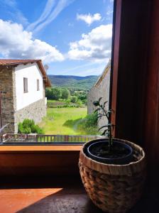 布拉干萨Recanto da Encosta - T2的坐在窗户上的盆栽植物,享有美景