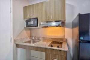 奥斯汀奥斯汀城中6号公寓的一间带水槽和微波炉的小厨房