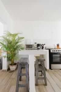 萨尤利塔Casa Fenix的厨房配有带2把凳子和炉灶的台面