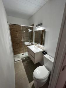 阿瓦托鲁Te Mao的浴室配有卫生间、盥洗盆和淋浴。