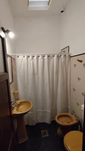 卡法亚特Cafayate Central House的一间带卫生间和淋浴帘的浴室