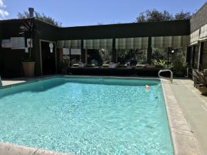 圣西米恩圣西蒙摩根酒店的庭院内的游泳池,带庭院