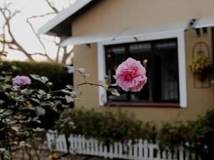 希尔顿Desiderata Chalet的房子前面的粉红色花