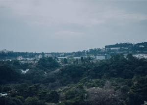 西归浦市Jeju Lavender Hotel的从山顶上可欣赏到城市美景