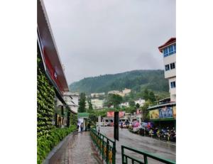 甘托克Hotel Yatung, Gangtok的山地小镇的街道