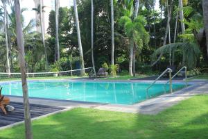 尼甘布Hotel Riverrina的庭院内棕榈树游泳池