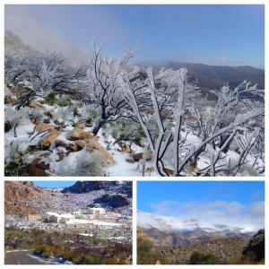 奥茨胡恩Aloe Valley Retreat的三张雪覆盖的树木和山的照片