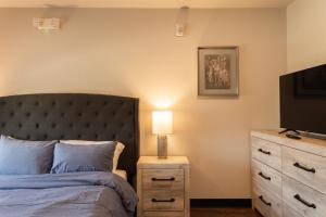圣安东尼奥Cozy Apartment by La Cantera & Rim的一间卧室配有一张床和一个带灯的梳妆台