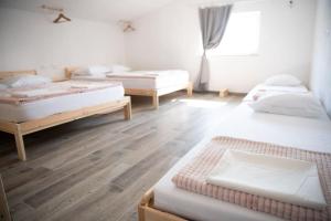 Spodnje JaršeDuplex Apartma Nikolina的客房设有三张床,铺有木地板。