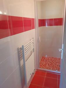 MontrodatLa cabane au fond du jardin的红色和白色的浴室设有红色瓷砖淋浴