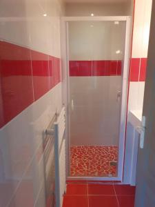 MontrodatLa cabane au fond du jardin的一间带红色和白色条纹淋浴的浴室