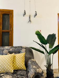瓦拉纳西Paridhi的客房内的沙发上摆放着枕头和植物