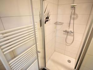 萨斯尼茨Villa Amelie App Seestern的浴室里设有玻璃门淋浴