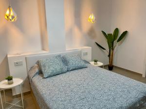 圣波拉Santa Pola Suites的一间卧室配有一张带两个枕头的床