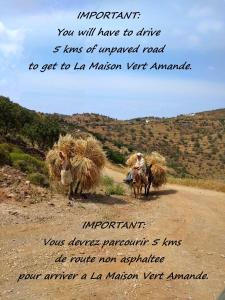 Spathi La Maison Vert Amande的骑着马,带着两只牛带干草的人