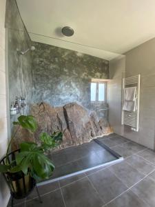 梅桑弗里乌Casa de Carrapatelo的带淋浴的浴室和石墙