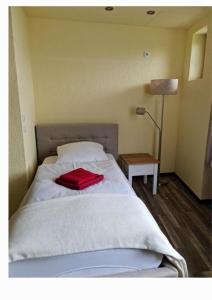 布劳恩拉格Hostel & Hotel Braunlage的一间卧室配有一张带红色毛巾的床