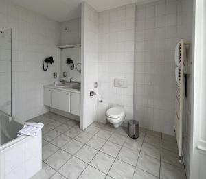 孔特雷克塞维尔La Souveraine的白色的浴室设有卫生间和水槽。