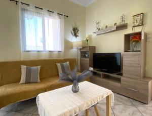 阿马利阿斯Sunny Apartment Amaliada的带沙发和电视的客厅