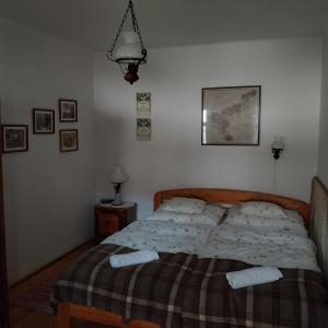 HáromhutaKarádi Vendégház的一间卧室配有一张带两个枕头的床