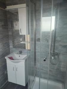RadovanićiSunset Villa Montenegro的带淋浴、盥洗盆和淋浴的浴室