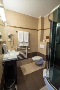 斯克拉斯卡波伦巴波德斯莱妮卡酒店的浴室配有卫生间、盥洗盆和淋浴。