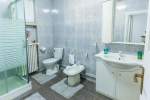布加勒斯特Ultracentral Golden Gatehouse 3 Bdrm的浴室配有卫生间、盥洗盆和淋浴。