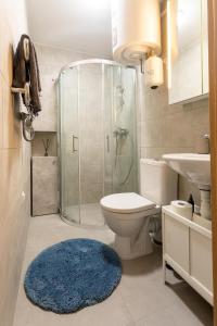 帕兰加Nauji apartamentai su šildomu baseinu, sporto sale, vaikų kambariu, work zona的带淋浴和卫生间的浴室以及蓝色地毯。
