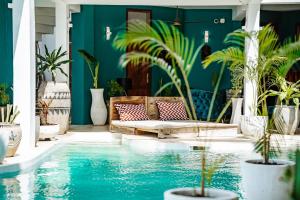 江比阿Pili Pili Tropical Island的一个带沙发和盆栽的游泳池