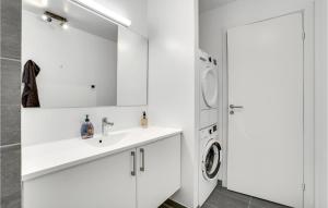 斯劳厄尔瑟Havnehusene, Lejl, 54的白色的浴室设有水槽和洗衣机。