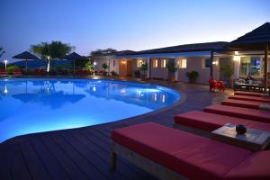 维琪奥港Hôtel Alivi Di Santa Giulia的一座大型游泳池周围设有红色软垫椅子