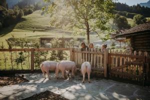格罗萨尔Familien Natur Resort Moar Gut的木栅栏旁的三只羊 ⁇ 