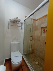 Sayula拉卡萨德洛斯天井及温泉酒店的一间带卫生间和玻璃淋浴间的浴室